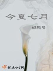 今夏歌词是什么意思