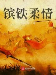 铁汉柔情下一句是什么