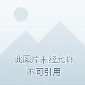 团宠七个哥哥又爆我