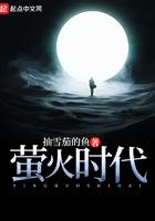 萤火时代的闪电读后感 萤火时代的闪电读后感