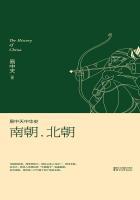 南北朝详解 南北朝详解