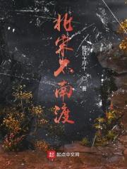 宋王朝南渡
