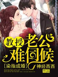 染指成婚,教授老公难伺候 染指成婚,教授老公难伺候